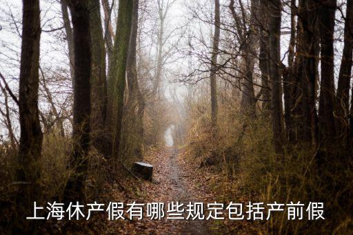 上海休產假有哪些規定包括產前假