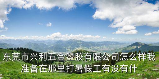 東莞市興利五金塑膠有限公司怎么樣我準備在那里打暑假工有沒有什