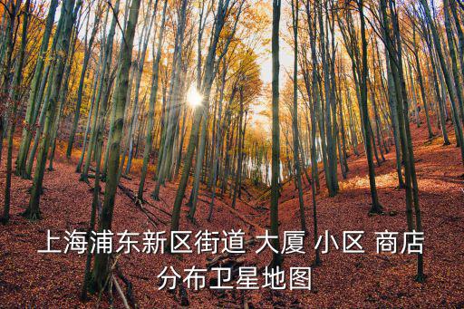 上海浦東新區街道 大廈 小區 商店 分布衛星地圖