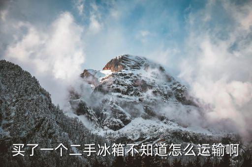 買了一個二手冰箱不知道怎么運輸啊