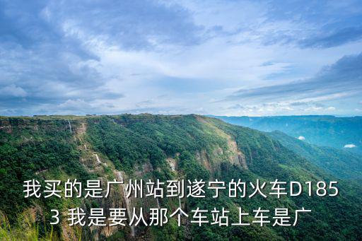 我買的是廣州站到遂寧的火車D1853 我是要從那個車站上車是廣