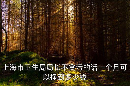 上海市衛(wèi)生局局長不貪污的話一個月可以掙到多少錢