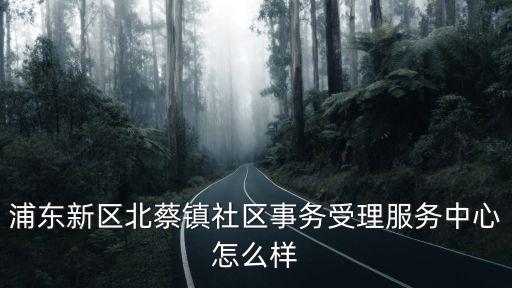 浦東新區北蔡鎮社區事務受理服務中心怎么樣