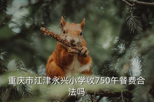 重慶市江津區(qū)板橋小學(xué)六年級(jí)卷子，重慶市江津永興小學(xué)收750午餐費(fèi)合法嗎
