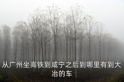 從廣州坐高鐵到咸寧之后到哪里有到大冶的車