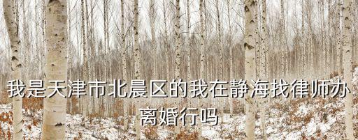 我是天津市北晨區(qū)的我在靜海找律師辦離婚行嗎