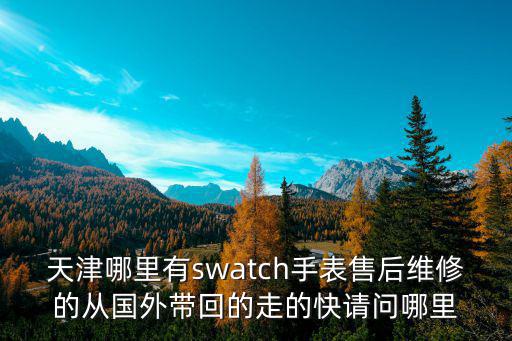 天津哪里有swatch手表售后維修的從國外帶回的走的快請問哪里