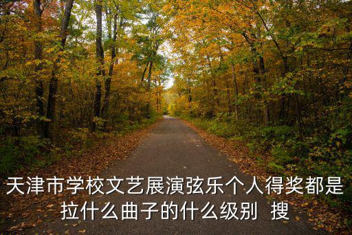 天津市學校文藝展演弦樂個人得獎都是拉什么曲子的什么級別  搜