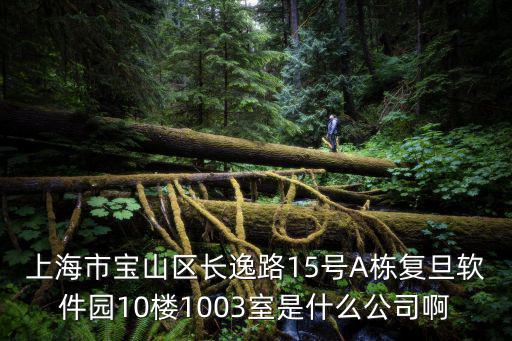上海市寶山區(qū)長逸路15號A棟復(fù)旦軟件園10樓1003室是什么公司啊