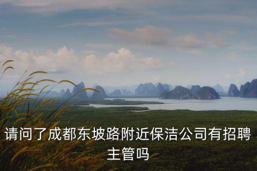 請問了成都東坡路附近保潔公司有招聘主管嗎