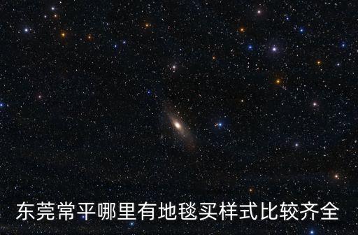 東莞常平哪里有地毯買樣式比較齊全