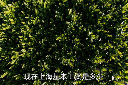 現在上海基本工資是多少