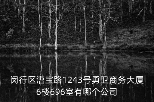 閔行區(qū)漕寶路1243號(hào)勇衛(wèi)商務(wù)大廈6樓696室有哪個(gè)公司