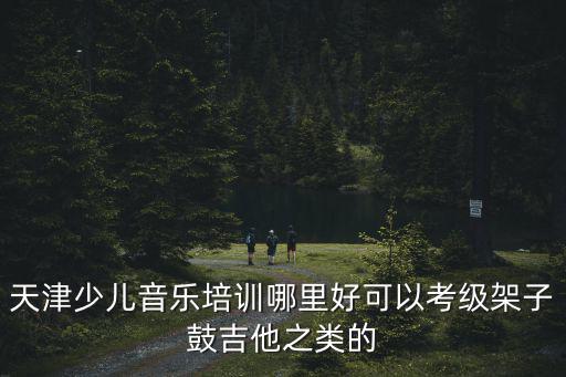 天津少兒音樂培訓(xùn)哪里好可以考級(jí)架子鼓吉他之類的