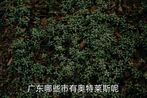廣東哪些市有奧特萊斯呢