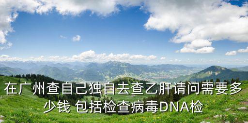 在廣州查自己獨(dú)自去查乙肝請問需要多少錢 包括檢查病毒DNA檢