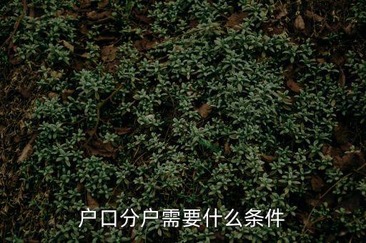 戶口分戶需要什么條件
