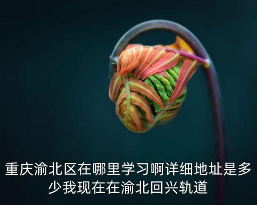重慶渝北區在哪里學習啊詳細地址是多少我現在在渝北回興軌道