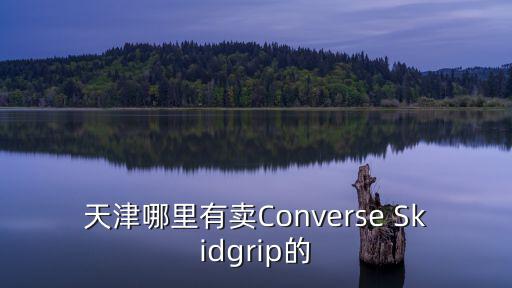 天津哪里有賣Converse Skidgrip的