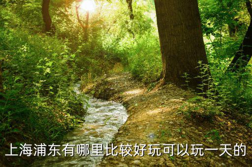 上海浦東有哪里比較好玩可以玩一天的