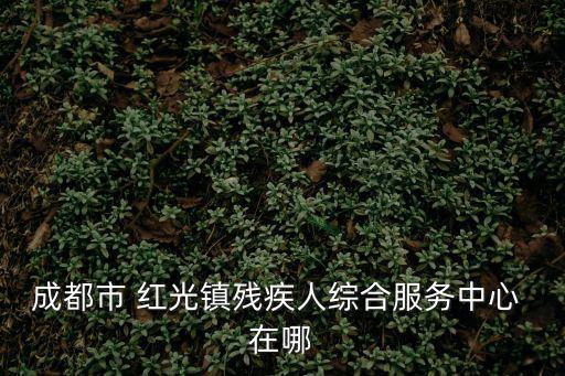 成都市 紅光鎮(zhèn)殘疾人綜合服務(wù)中心 在哪
