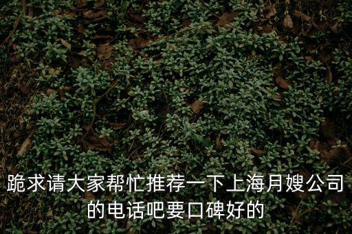 上海市月嫂公司有哪些，請問誰知道上海月嫂公司哪家好口碑最好的