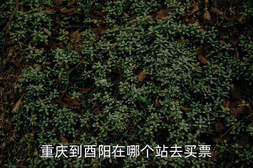 重慶到酉陽在哪個站去買票