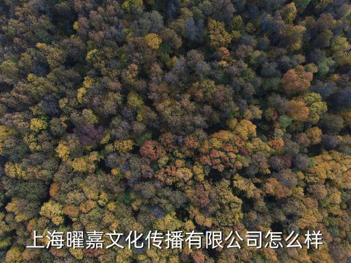上海市浦東新區花山路706號郵編，上海浦東新區的郵編是多少