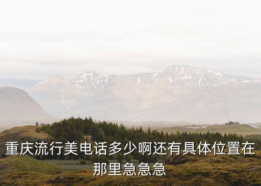 重慶市南源居地址電話，有誰知道158080060是重慶哪個地方的電話號碼呀