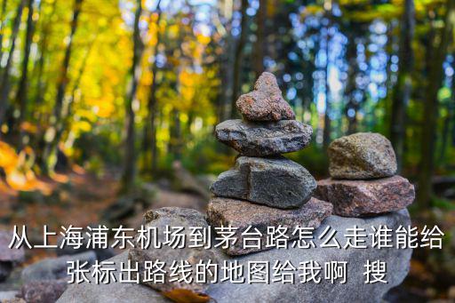 從上海浦東機場到茅臺路怎么走誰能給張標出路線的地圖給我啊  搜