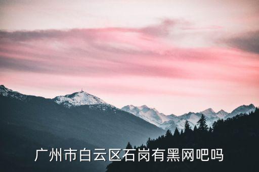 廣州市白云區石崗有黑網吧嗎