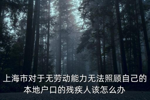 上海市對于無勞動能力無法照顧自己的本地戶口的殘疾人該怎么辦