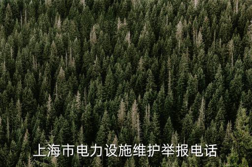 上海市電力設(shè)施維護(hù)舉報電話