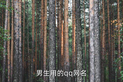男生用的qq網名