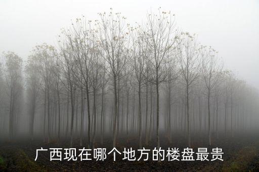桂林市房價最貴是哪個區，上海一般來說房價最貴的地方是那個區