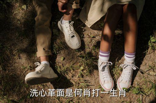 洗心革面是何肖打一生肖