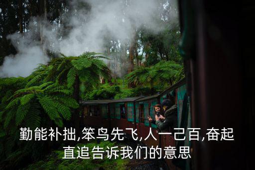 人一己百,笨鳥先飛比喻比人趕先一步一百個抵擋不住一個