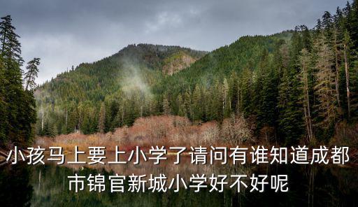 小孩馬上要上小學了請問有誰知道成都市錦官新城小學好不好呢