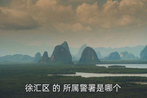 上海市徐匯區(qū)網(wǎng)絡報警地址，想知道上海市 徐匯武警分局在哪