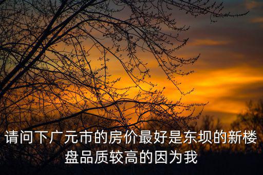 請問下廣元市的房價最好是東壩的新樓盤品質較高的因為我