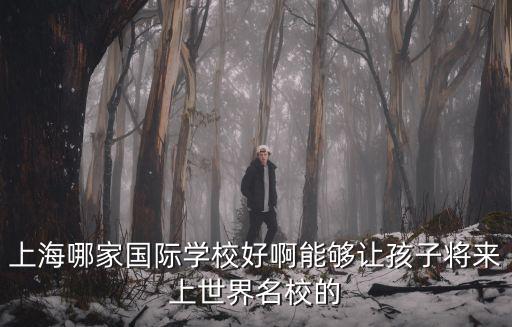 上海哪家國際學校好啊能夠讓孩子將來上世界名校的