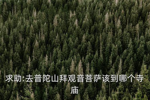求助:去普陀山拜觀音菩薩該到哪個寺廟