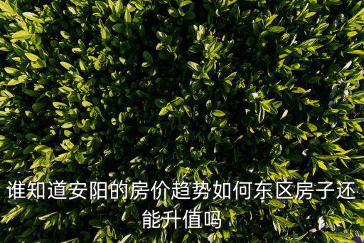 誰知道安陽的房價趨勢如何東區房子還能升值嗎