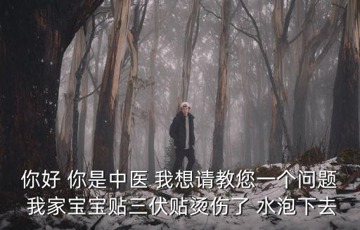 你好 你是中醫(yī) 我想請教您一個問題 我家寶寶貼三伏貼燙傷了 水泡下去