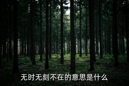 無時無刻什么意思,無時無刻不在與否定詞連用意思是什么?