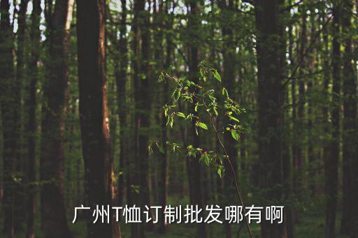 廣州T恤訂制批發哪有啊
