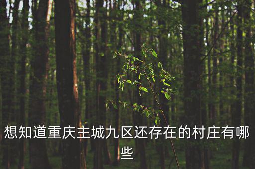 重慶市九龍坡區有什么村，九龍坡區馬王鄉新農八村在哪里呀