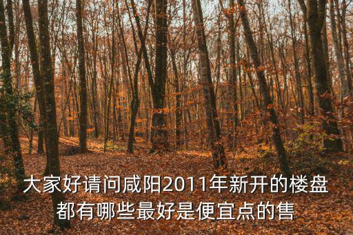 咸陽市哪個區房價最便宜，哪個區的房子會便宜點