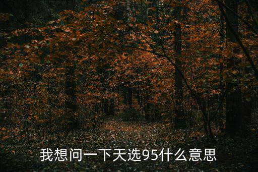 我想問一下天選95什么意思