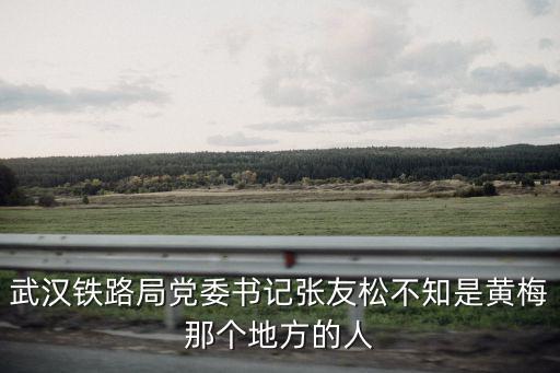 武漢鐵路局黨委書記張友松不知是黃梅那個地方的人